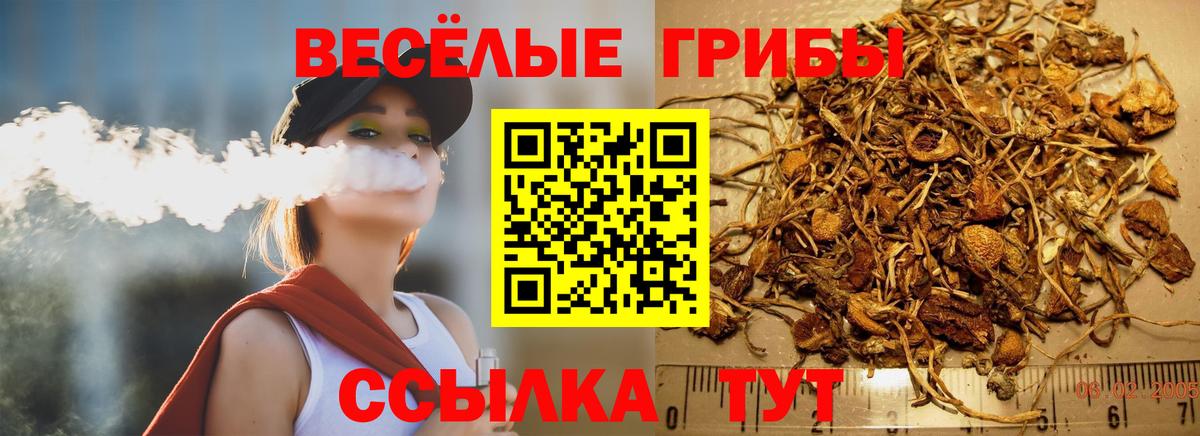 Псилоцибиновые грибы Psilocybe Рязань